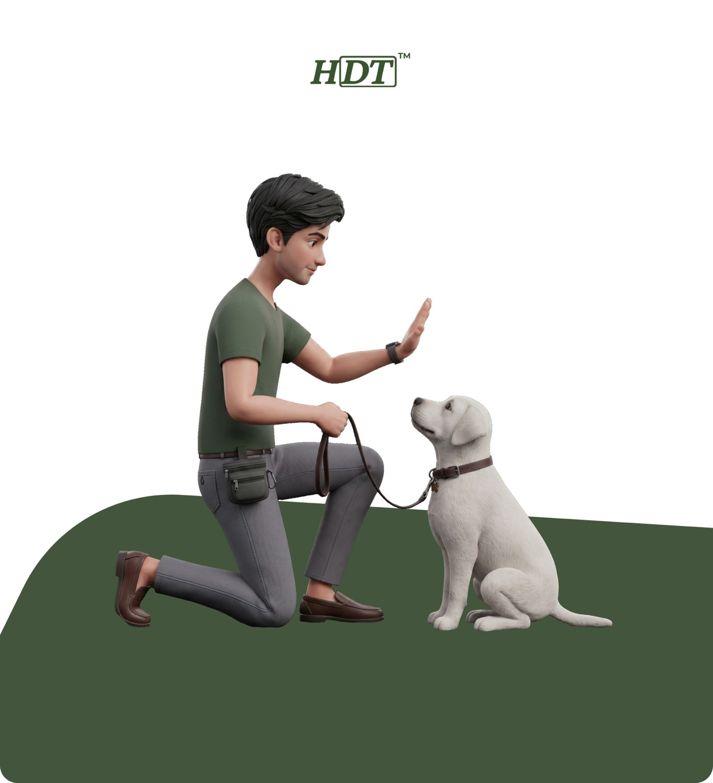 Harlan Dog Training